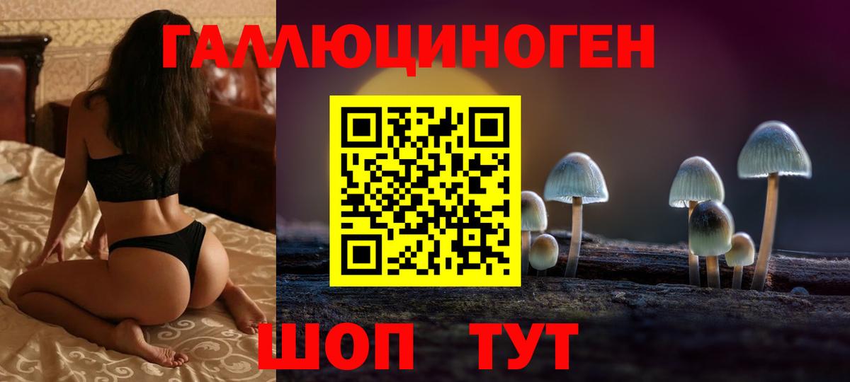 Майкоп  Псилоцибиновые грибы Magic Shrooms  Вход с VPN  Псилоцибиновые грибы MAGIC MUSHROOMS 
